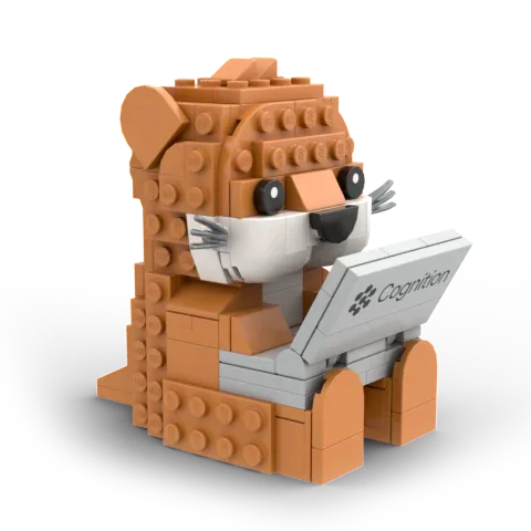 Custom brick kit of a brand mascot character